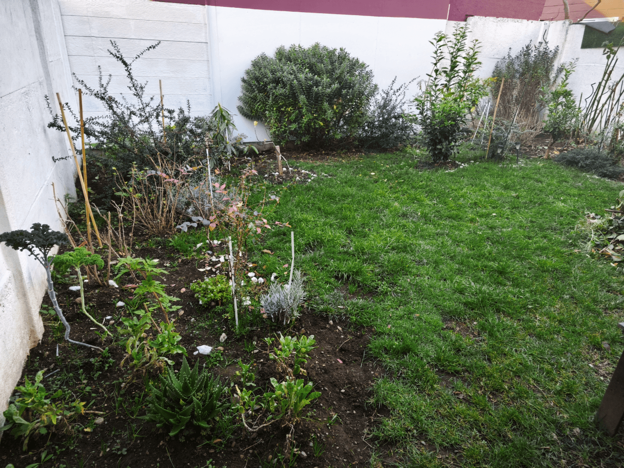 VENTA CASA CON RECEPCIÓN MUNICIPAL VILLARRICA-CHILE 8