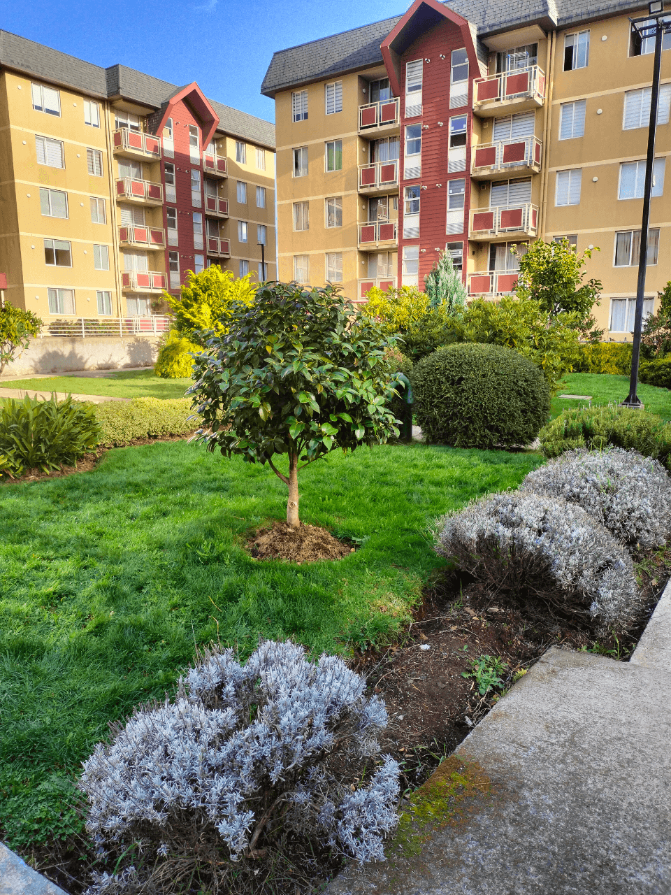 VENTA DEPARTAMENTO VILLARRICA