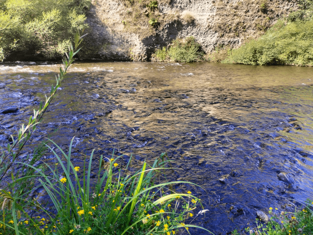 VENTA DE CASA CON ORILLA DE RÍO ÑANCUL-CHILE 3