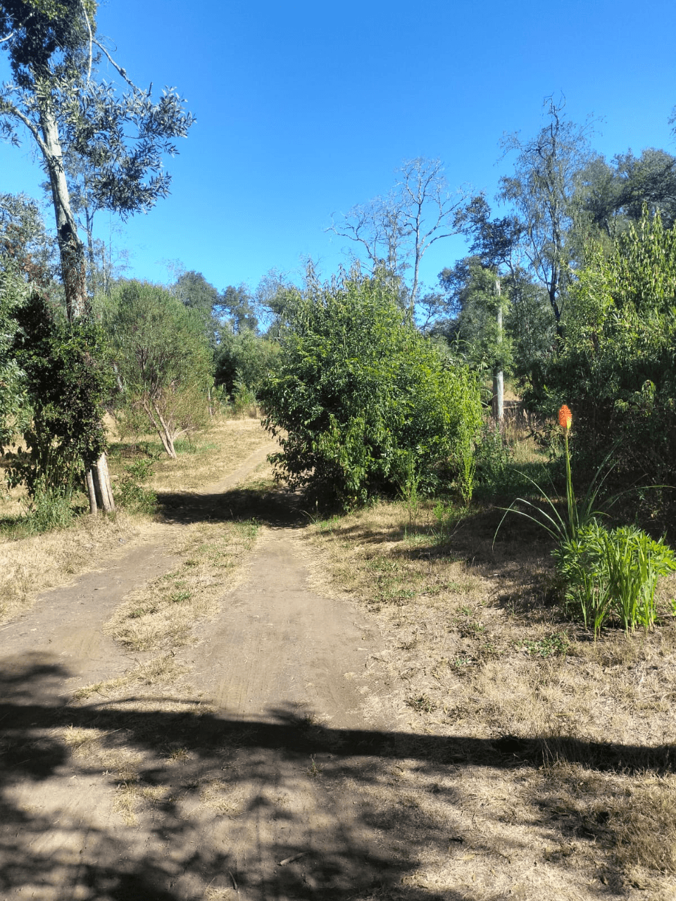 VENTA DE CASA CON ORILLA DE RÍO ÑANCUL-CHILE 4