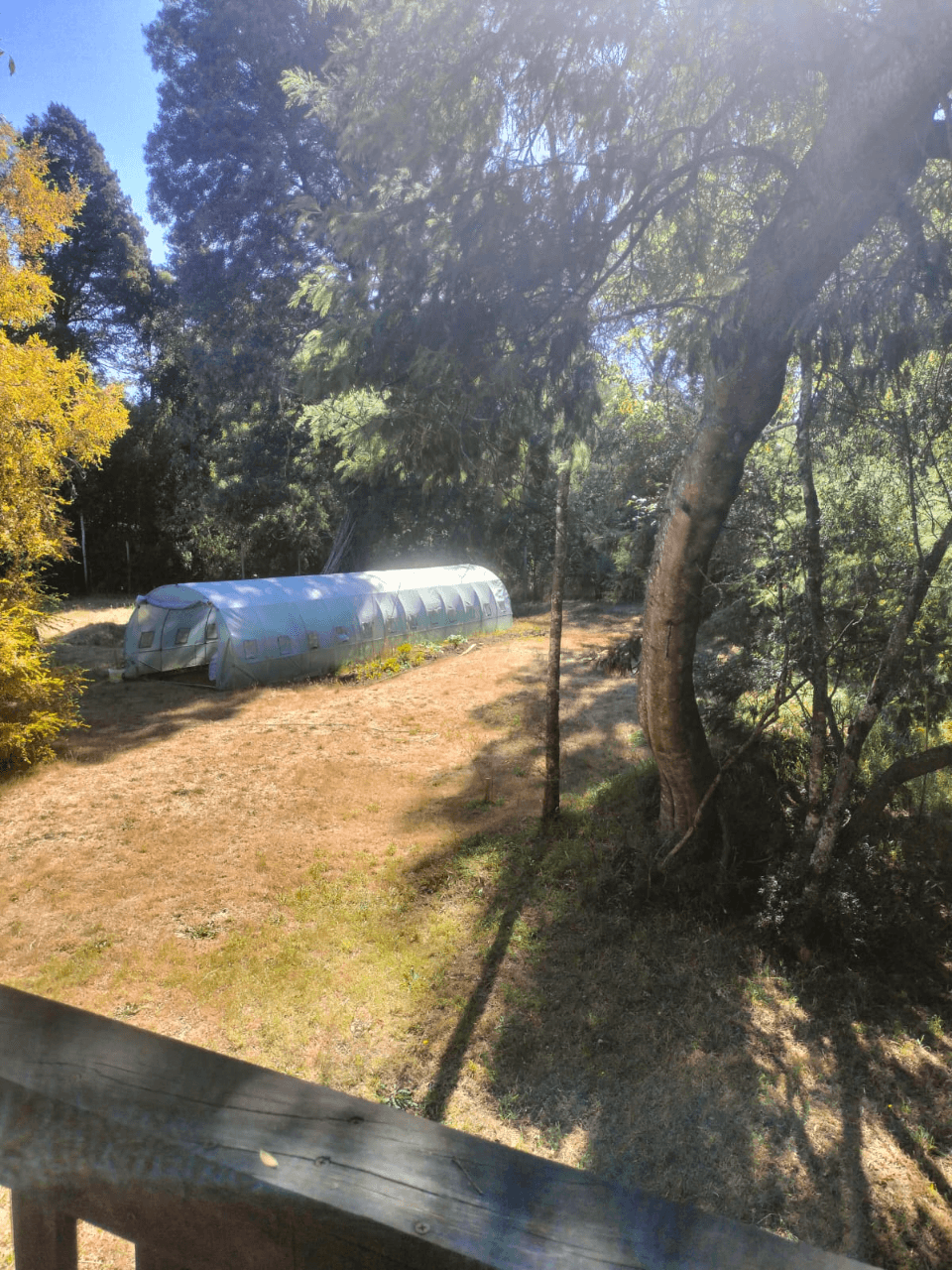 VENTA DE CASA CON ORILLA DE RÍO ÑANCUL-CHILE 5