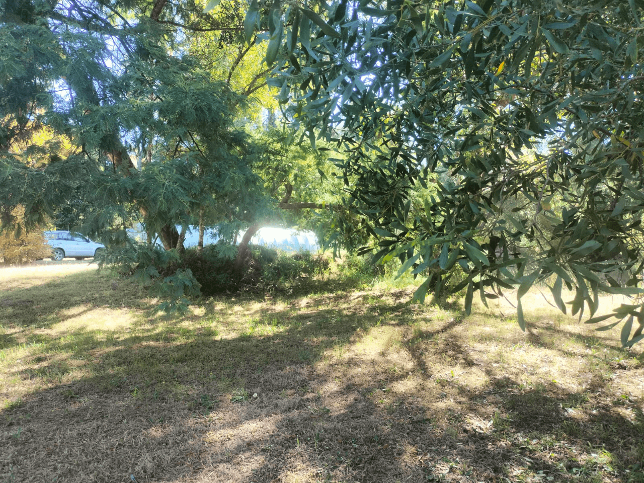 VENTA DE CASA CON ORILLA DE RÍO ÑANCUL-CHILE 7