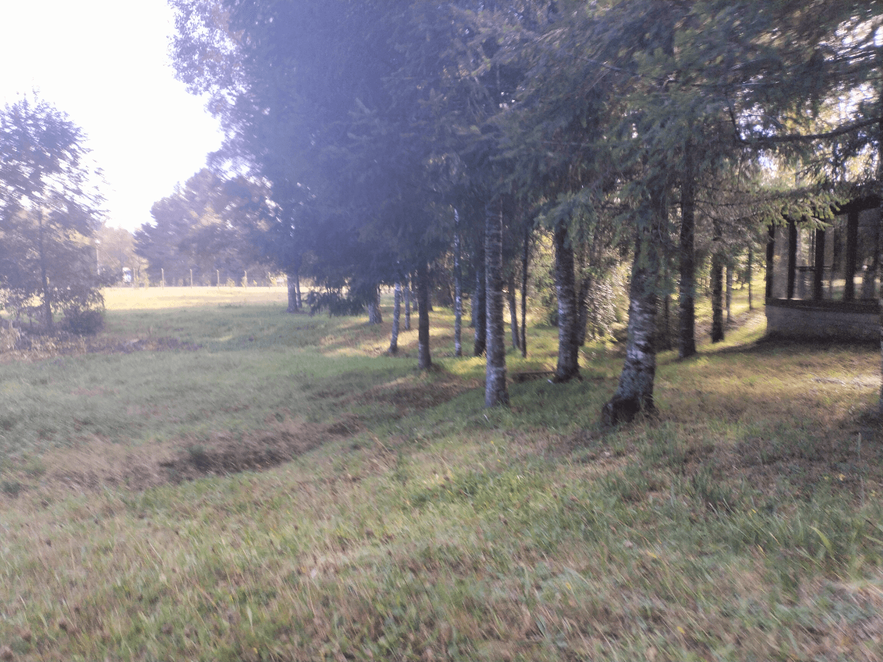 VENTA DE CASA CON RECEPCIÓN MUNICIPAL ÑANCUL VILLARRICA 10