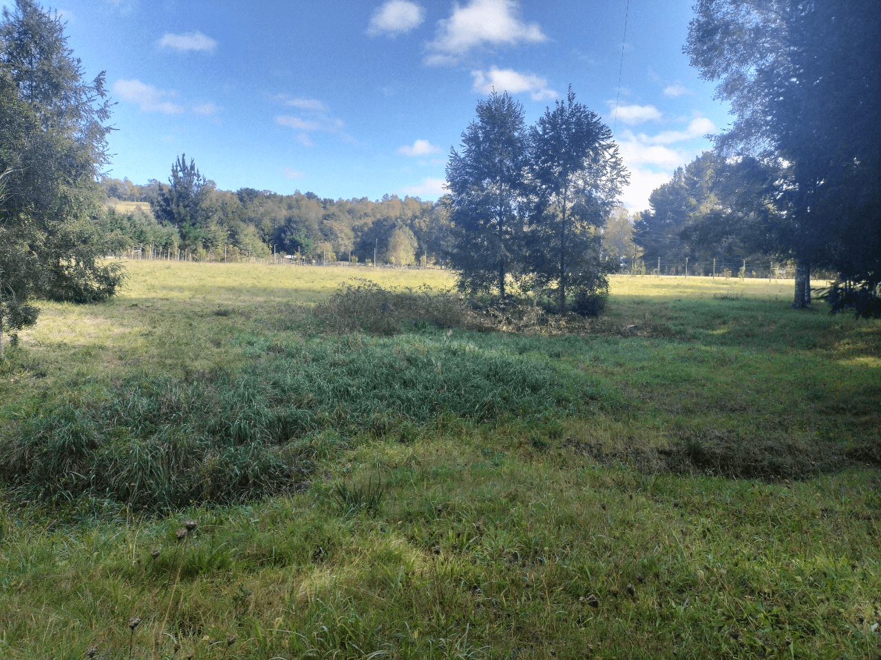 VENTA DE CASA CON RECEPCIÓN MUNICIPAL ÑANCUL VILLARRICA 11