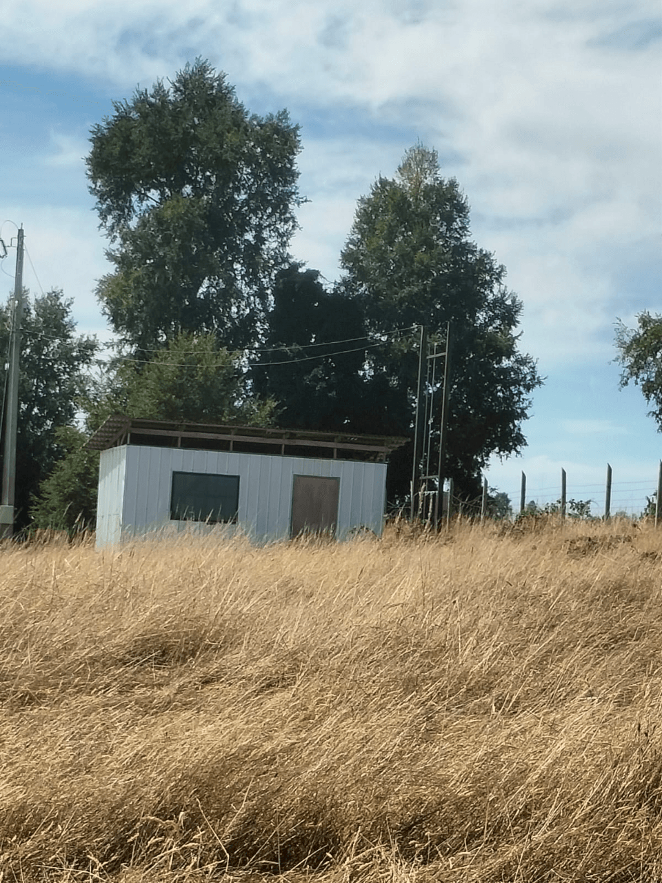 VENTA HERMOSA PARCELA EN LUGAR TRANQUILO SEXTA FAJA VILLARRICA 3