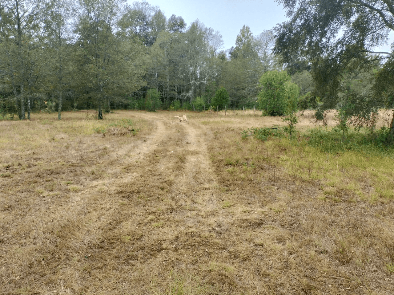 VENTA DE PARCELA CON ORILLA DE RÍO EN ÑANCUL VILLARRICA 2