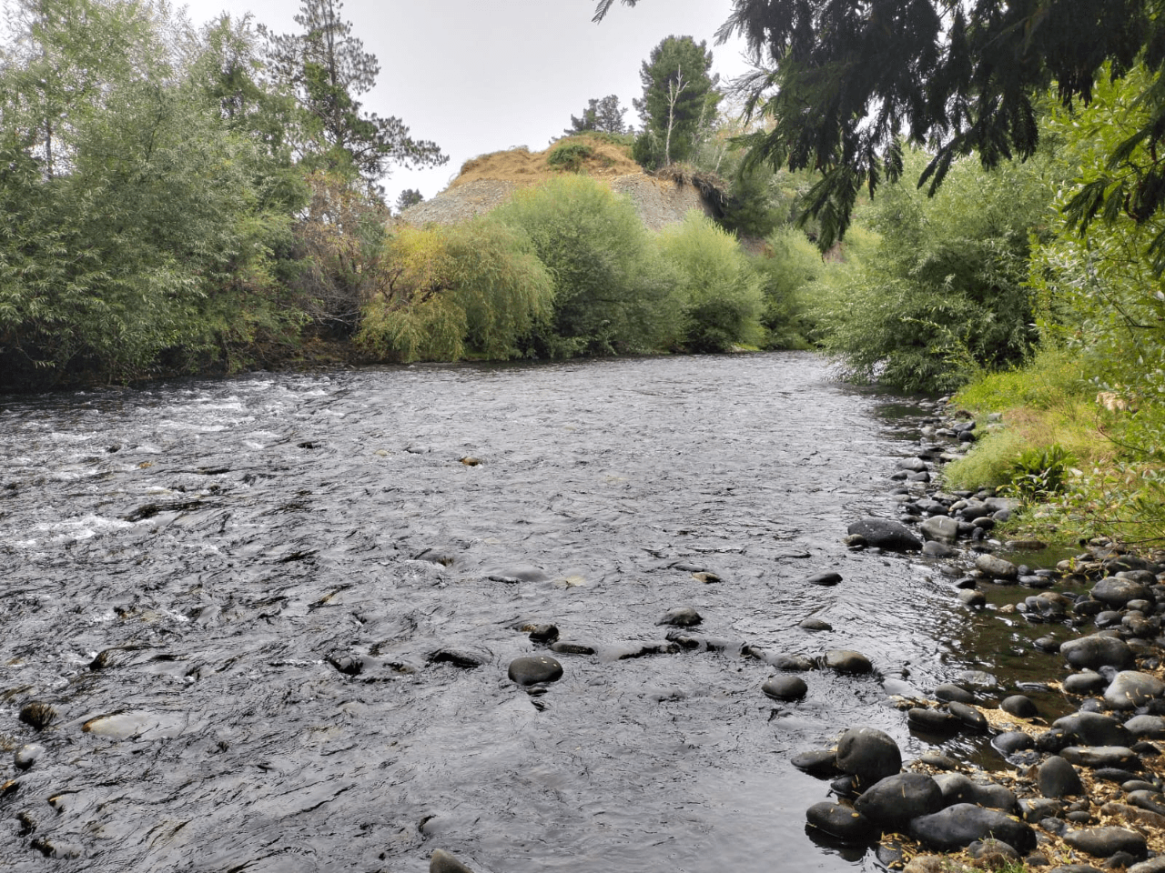 VENTA DE PARCELA CON ORILLA DE RÍO EN ÑANCUL VILLARRICA 4