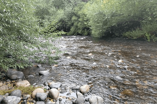 VENTA DE PARCELA CON ORILLA DE RÍO EN ÑANCUL VILLARRICA 6