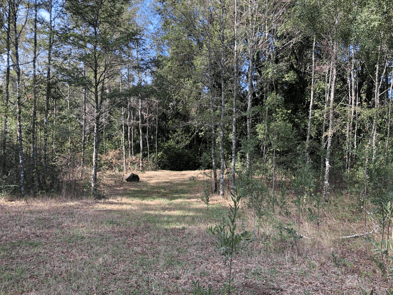VENTA DE PARCELA CON ORILLA DE RÍO EN ÑANCUL VILLARRICA 8