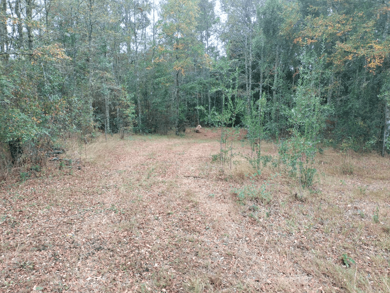 VENTA DE PARCELA CON ORILLA DE RÍO EN ÑANCUL VILLARRICA 11