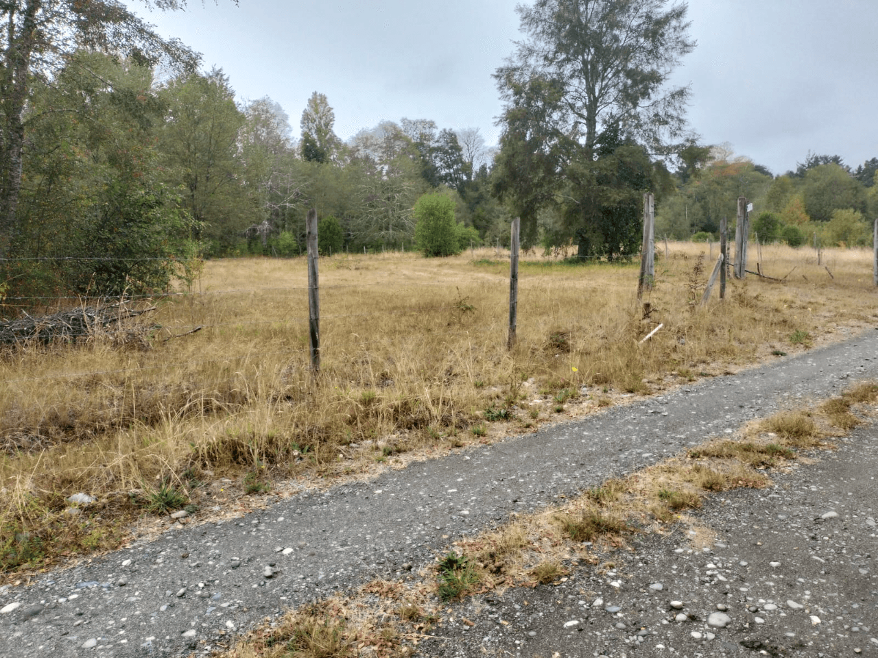 VENTA DE PARCELA CON ORILLA DE RÍO EN ÑANCUL VILLARRICA 12
