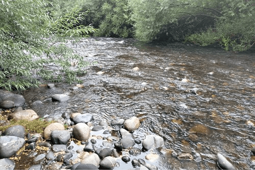 VENTA DE PARCELA CON ORILLA DE RÍO EN ÑANCUL VILLARRICA 14